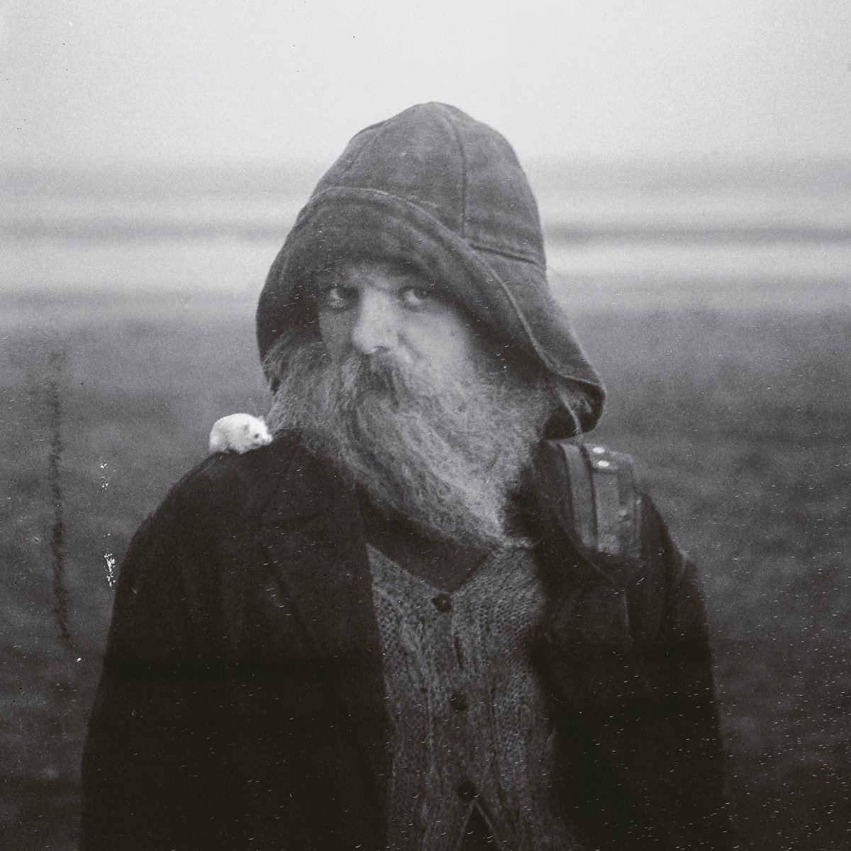 Role Model Hermit by mary in the junkyard — cover art