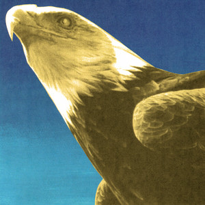 Hotel Usona by Protomartyr — cover art
