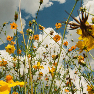 You Are Spring! by Tasha — cover art